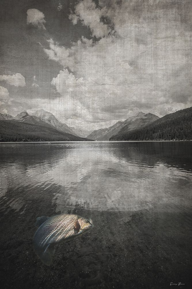 Fall Lake Trout art print by Denise Brown for $57.95 CAD