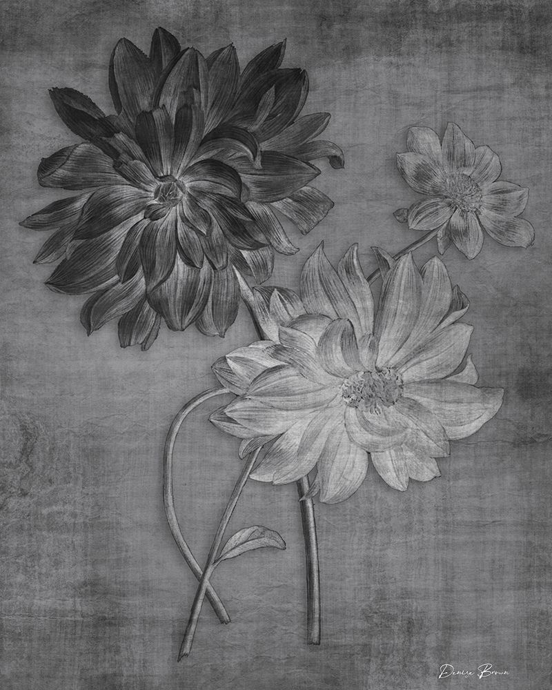 Tranquil Botanical 1 art print by Denise Brown for $57.95 CAD
