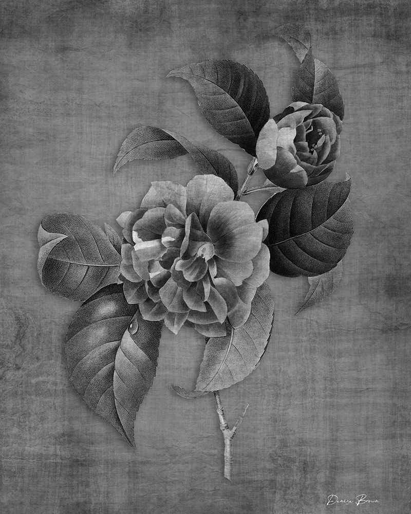 Tranquil Botanical 2 art print by Denise Brown for $57.95 CAD