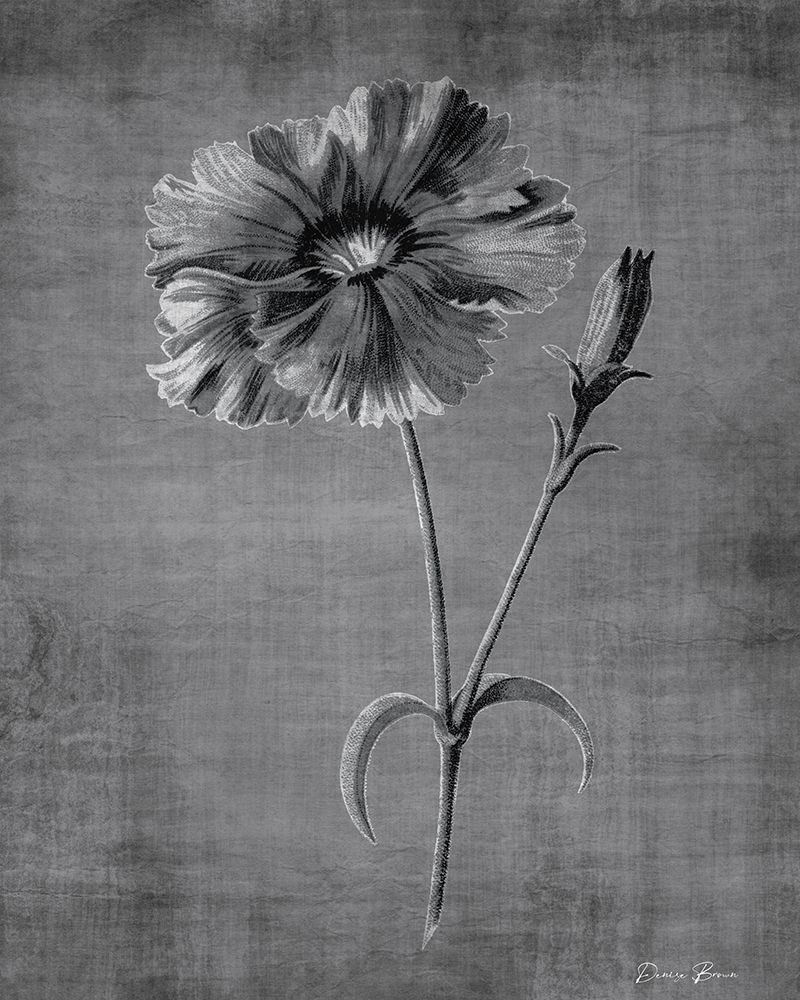 Tranquil Botanical 3 art print by Denise Brown for $57.95 CAD