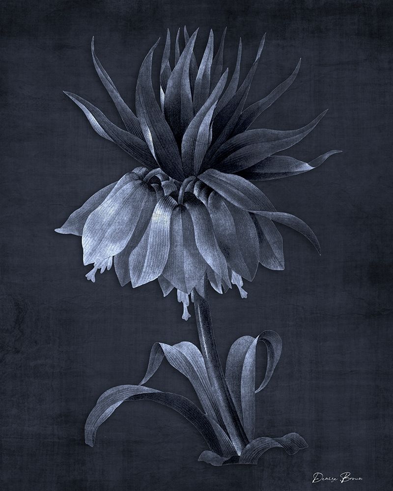 Botanical Edge 4 art print by Denise Brown for $57.95 CAD