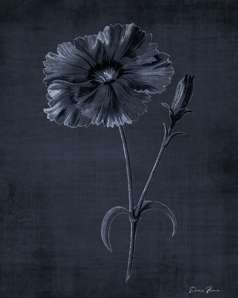Botanical Edge 5 art print by Denise Brown for $57.95 CAD