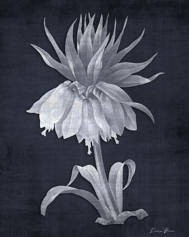 Mighty Growth 2 art print by Denise Brown for $57.95 CAD