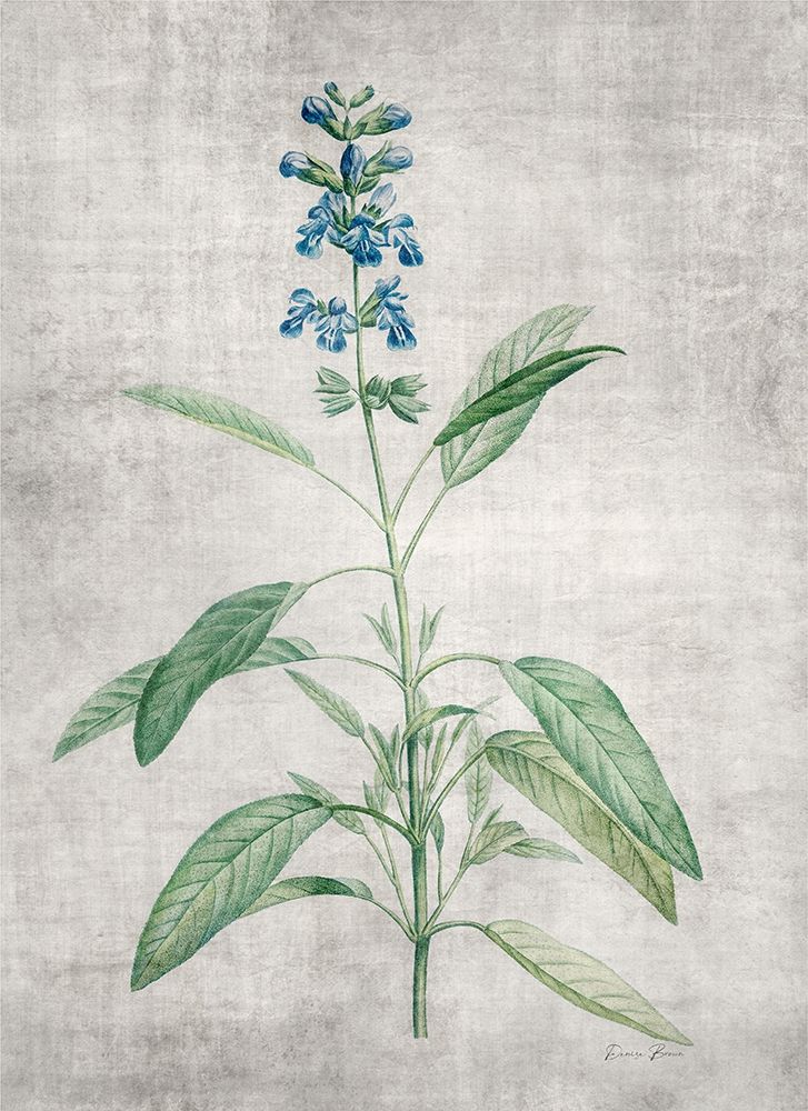 Blue Botanical 1 art print by Denise Brown for $57.95 CAD