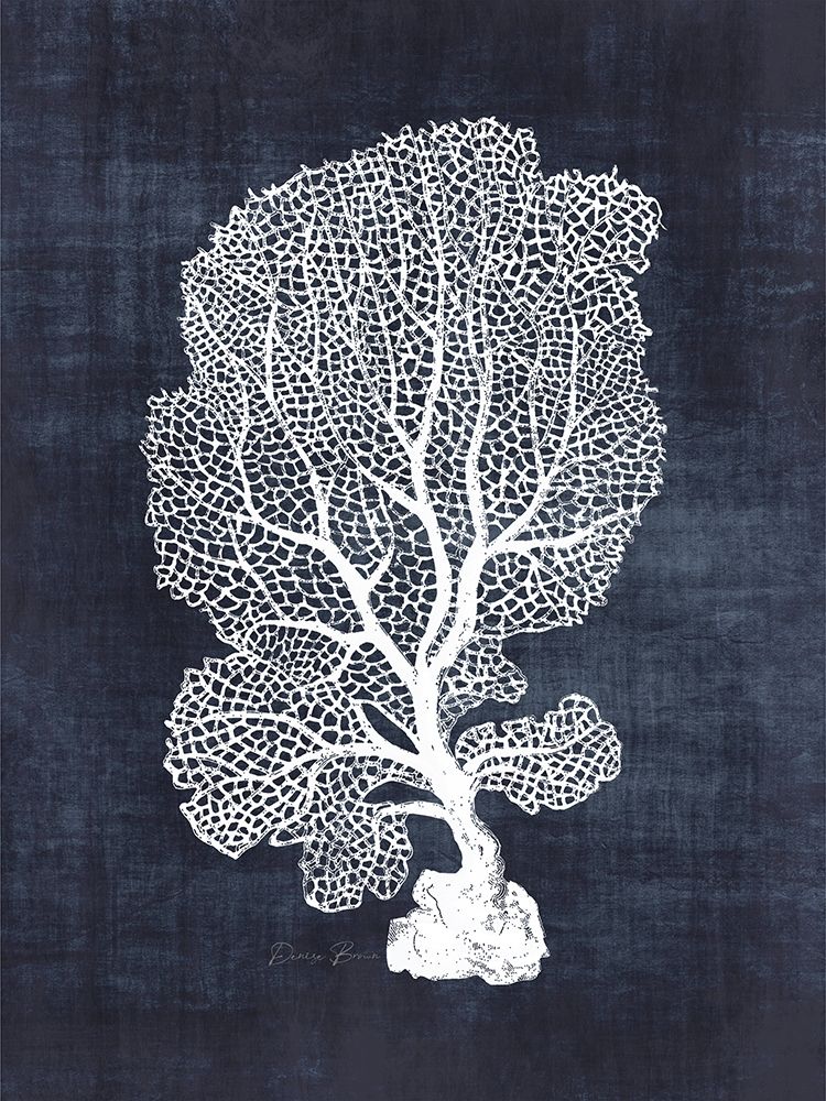 Sea Fan 1 art print by Denise Brown for $57.95 CAD