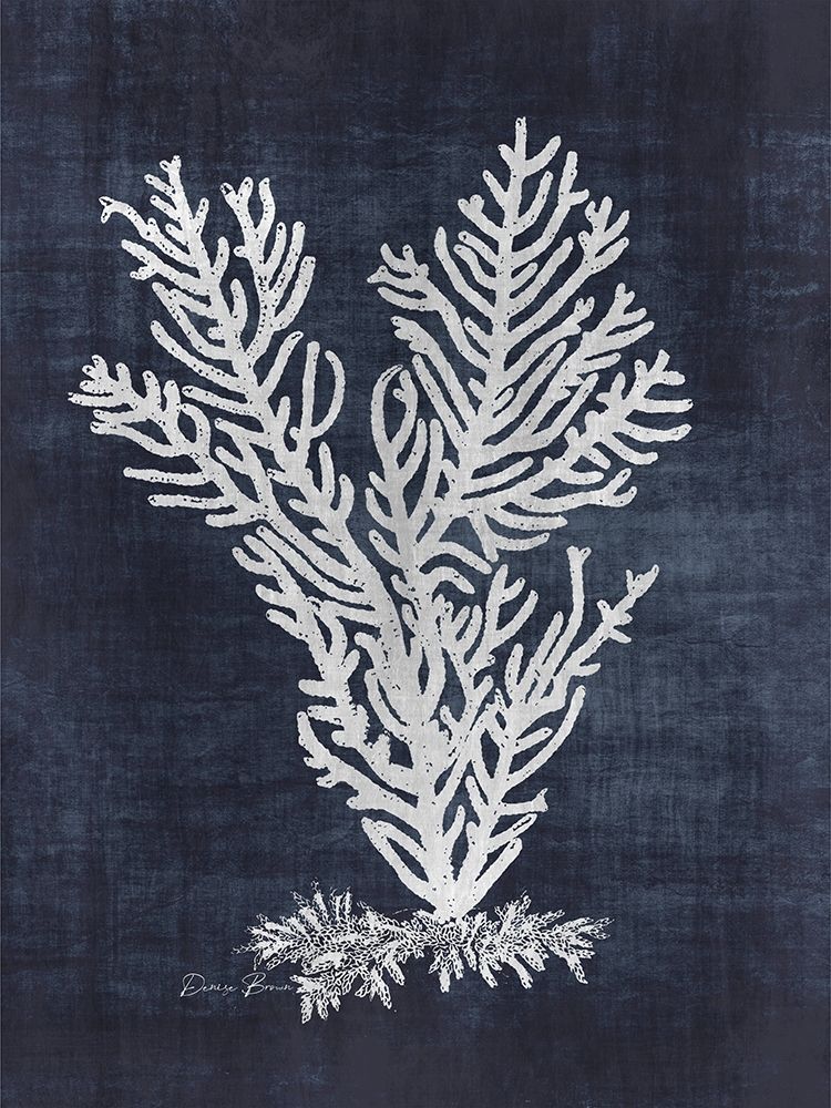 Sea Fan 2 art print by Denise Brown for $57.95 CAD