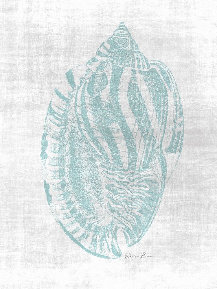 Beautiful Shells 1 art print by Denise Brown for $57.95 CAD