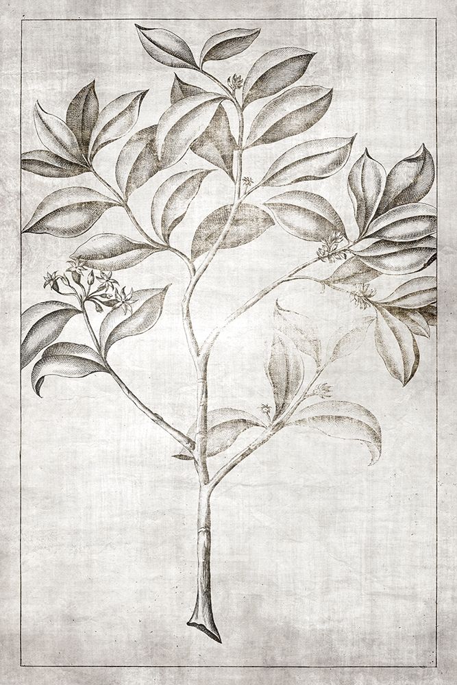 Antique Palm 1 art print by Denise Brown for $57.95 CAD