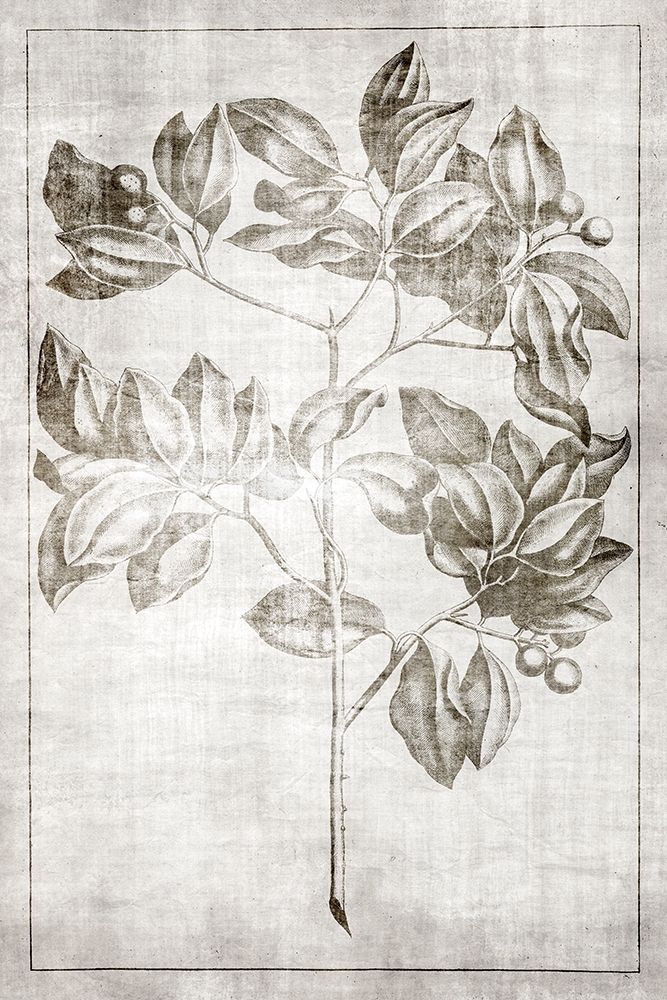 Antique Palm 2 art print by Denise Brown for $57.95 CAD