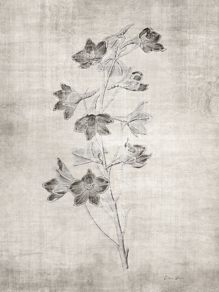 Sepia Botanical 3 art print by Denise Brown for $57.95 CAD