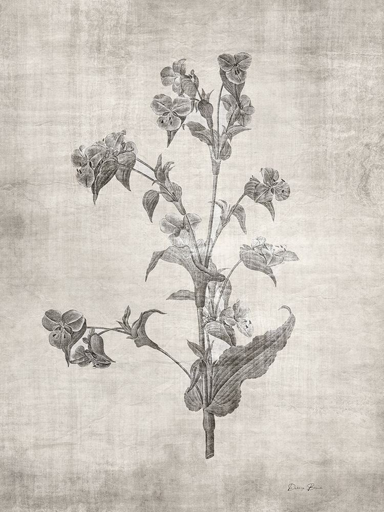 Sepia Botanical 4 art print by Denise Brown for $57.95 CAD