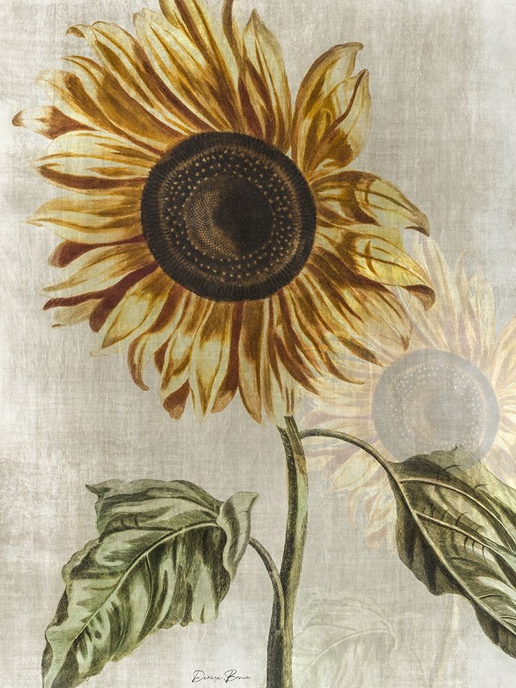Sunflower 1 art print by Denise Brown for $57.95 CAD