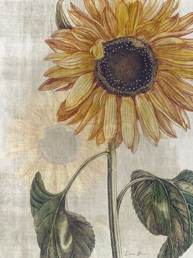 Sunflower 2 art print by Denise Brown for $57.95 CAD