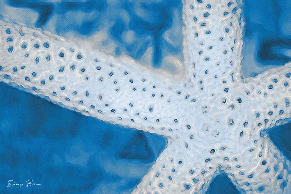 Star Fish art print by Denise Brown for $57.95 CAD