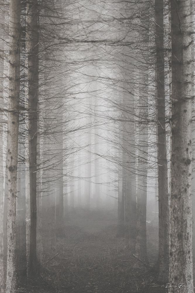 Forest for the Trees art print by Denise Brown for $57.95 CAD