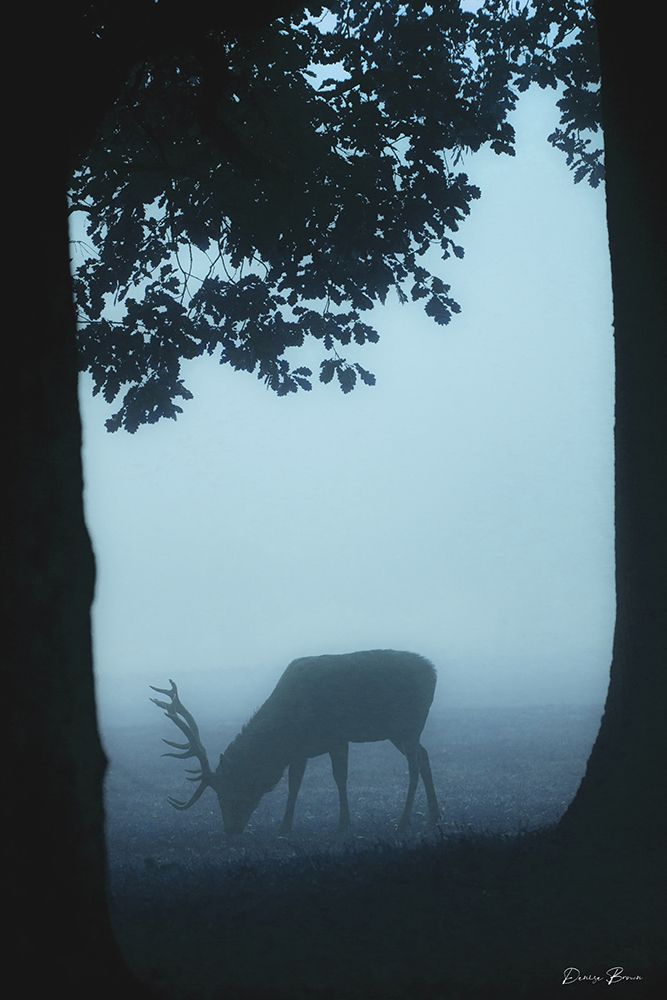 Grazing art print by Denise Brown for $57.95 CAD