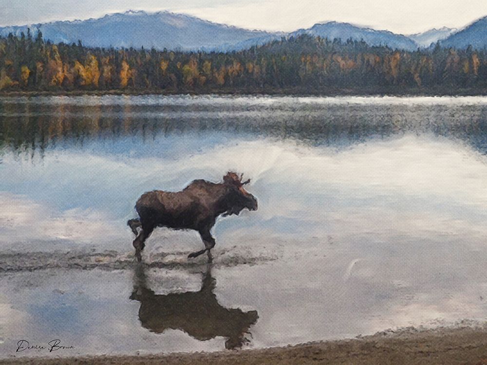 Moose art print by Denise Brown for $57.95 CAD