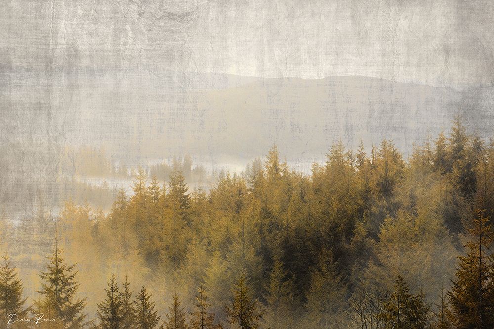Pine Tops art print by Denise Brown for $57.95 CAD