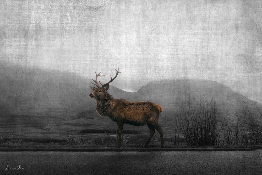 Watch art print by Denise Brown for $57.95 CAD