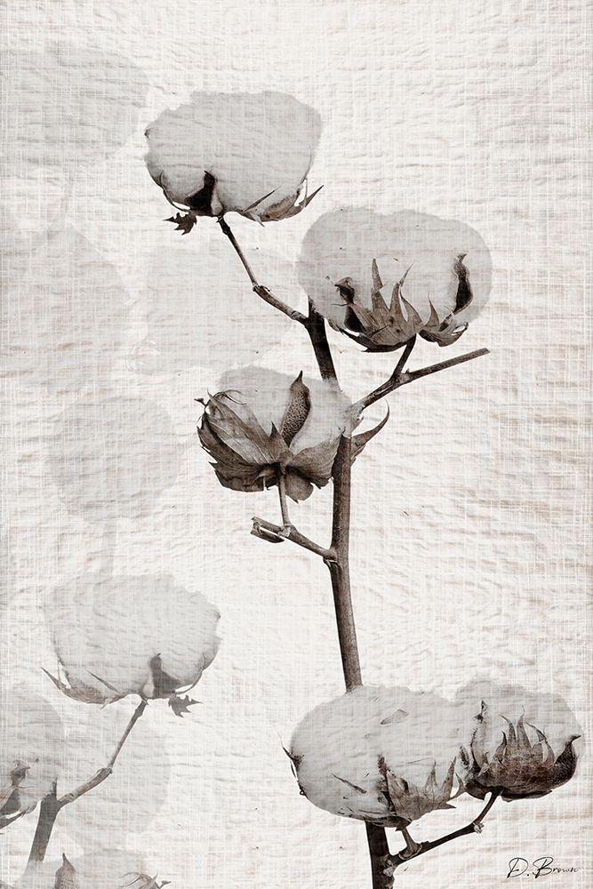 Cotton Stem 1 art print by Denise Brown for $57.95 CAD