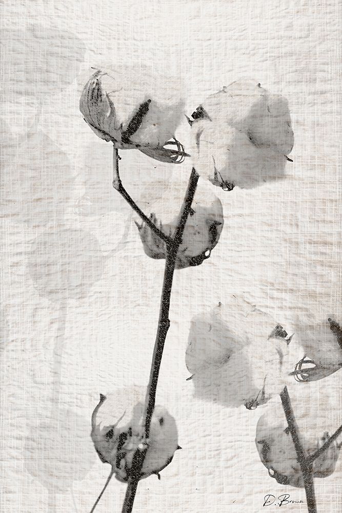 Cotton Stem 2 art print by Denise Brown for $57.95 CAD