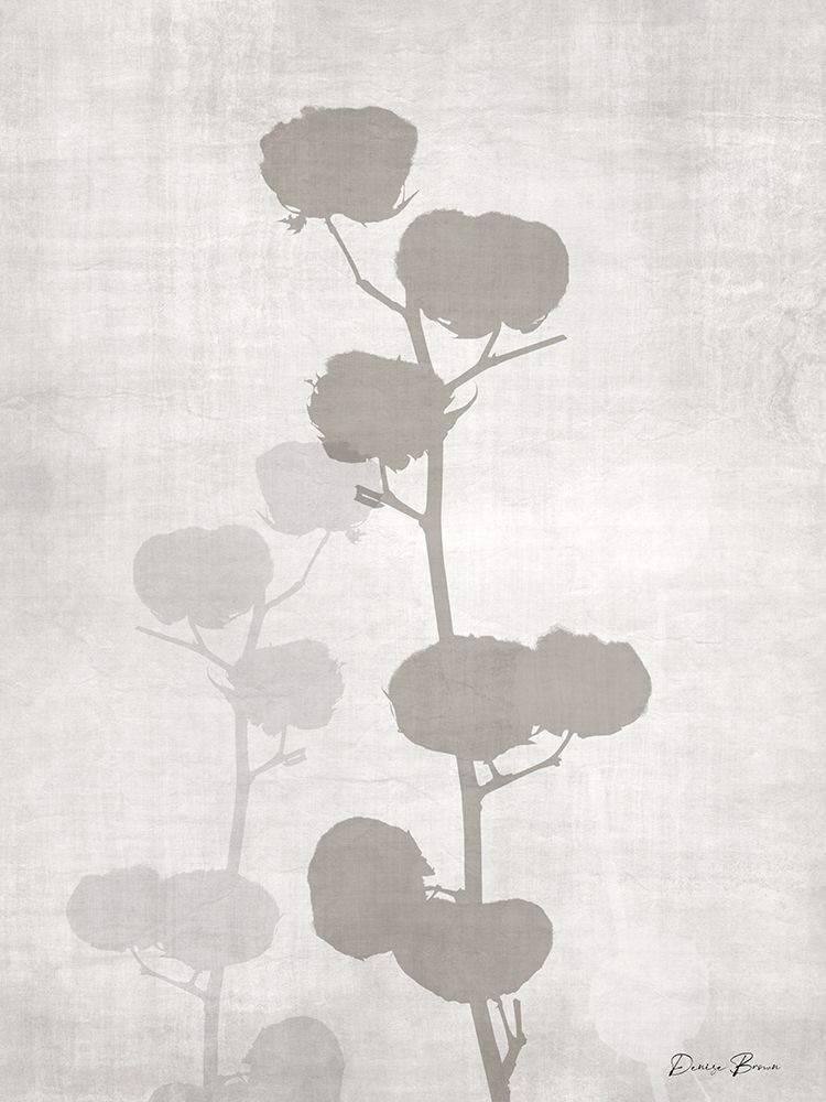 Modern Cotton 1 art print by Denise Brown for $57.95 CAD