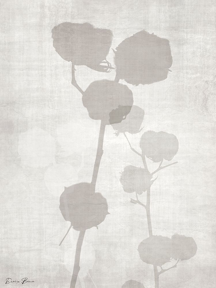 Modern Cotton 2 art print by Denise Brown for $57.95 CAD