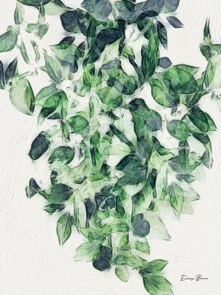 Hanging Greens 1 art print by Denise Brown for $57.95 CAD