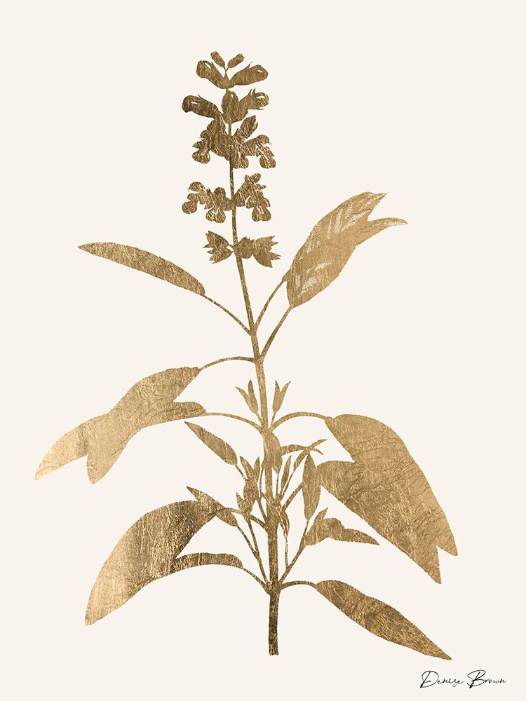 Leafed Botanical 1 art print by Denise Brown for $57.95 CAD