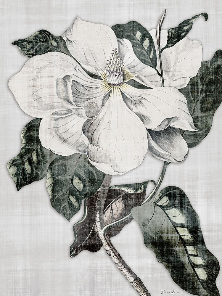 Southern Magnolia 1 art print by Denise Brown for $57.95 CAD