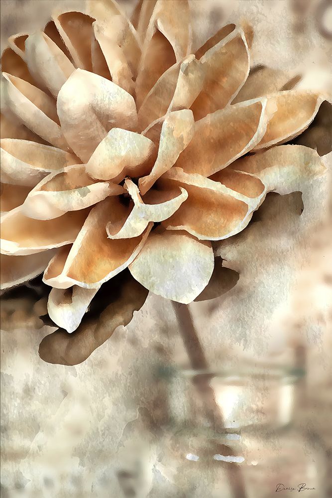 Magnolia 2 art print by Denise Brown for $57.95 CAD