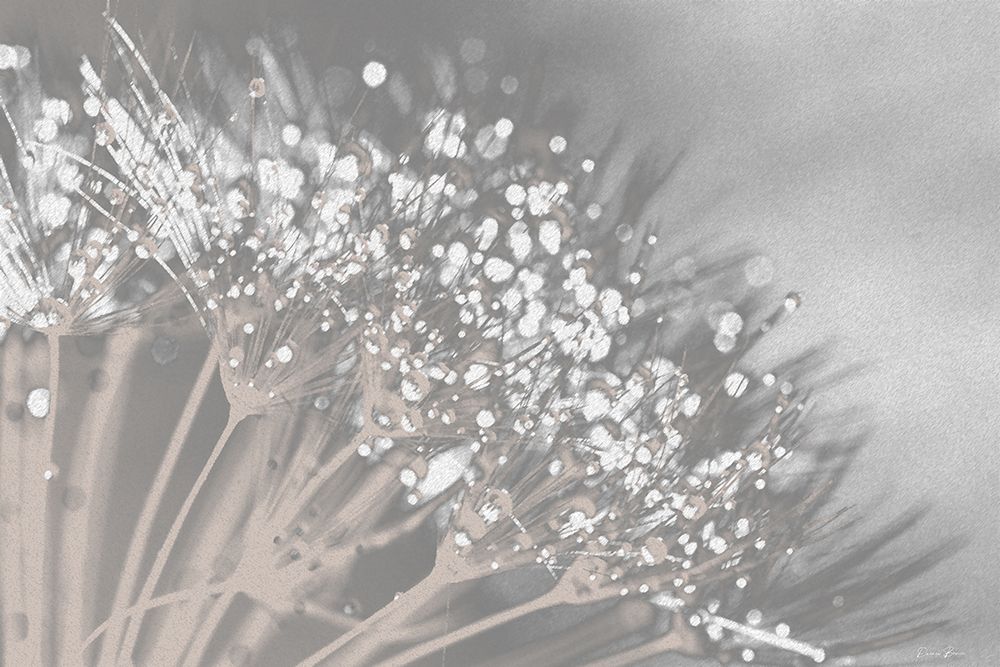 Dandelion 2 art print by Denise Brown for $57.95 CAD