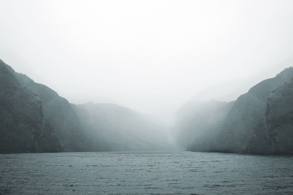 Morning Haze art print by Denise Brown for $57.95 CAD