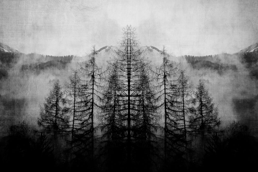 Trees and Clouds art print by Denise Brown for $57.95 CAD
