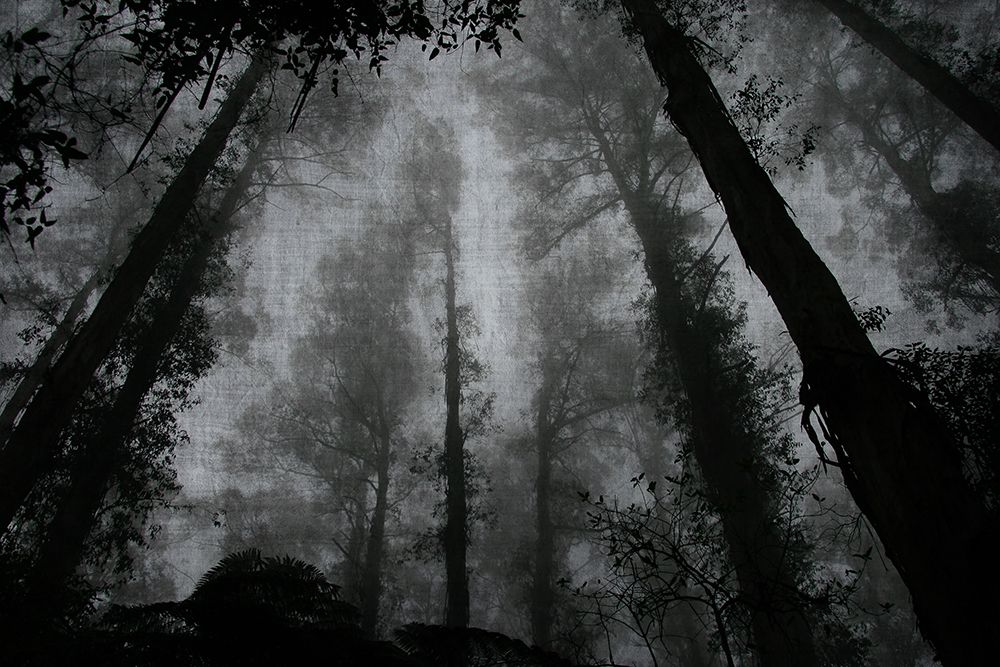 Trees and Clouds 2 art print by Denise Brown for $57.95 CAD