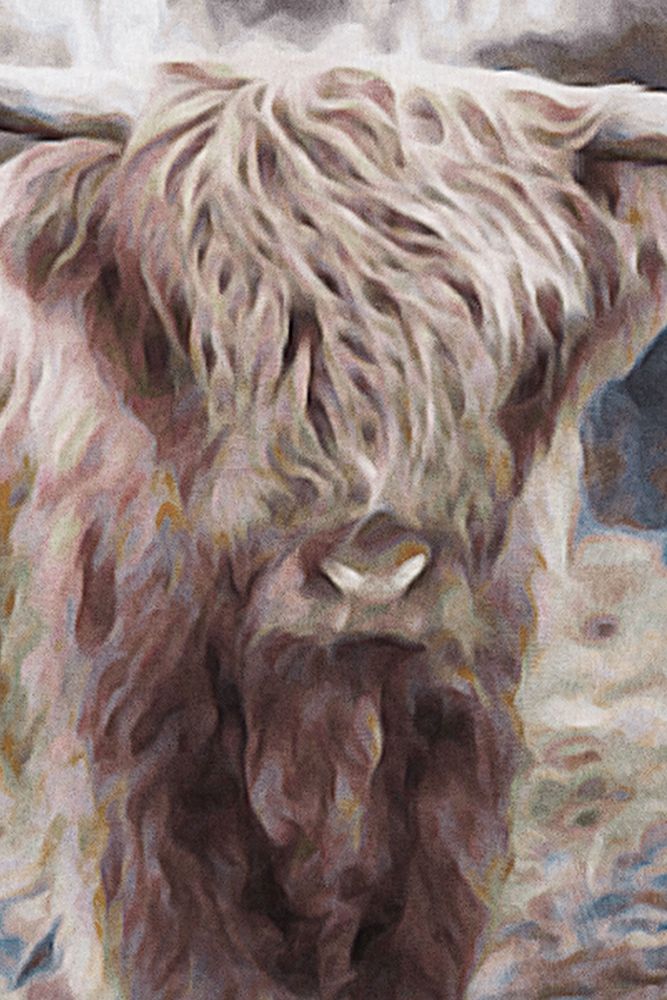 Angus art print by Denise Brown for $57.95 CAD