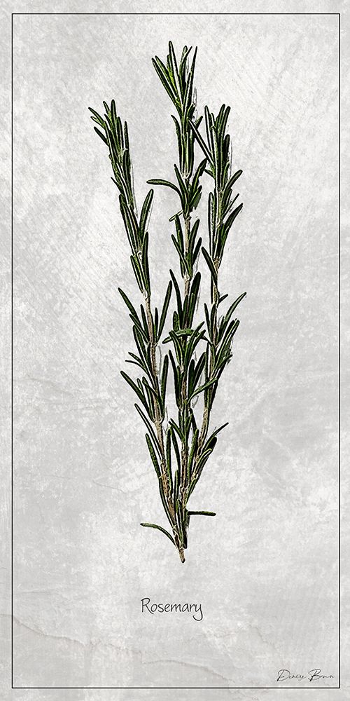 Rosemary 1 art print by Denise Brown for $57.95 CAD