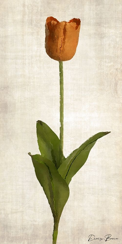 Stem 1 art print by Denise Brown for $57.95 CAD