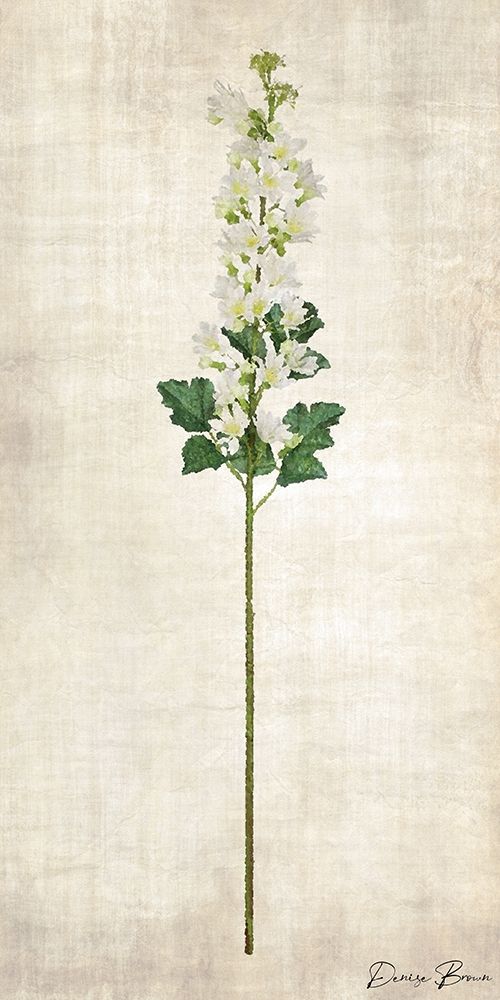 Stem 4 art print by Denise Brown for $57.95 CAD