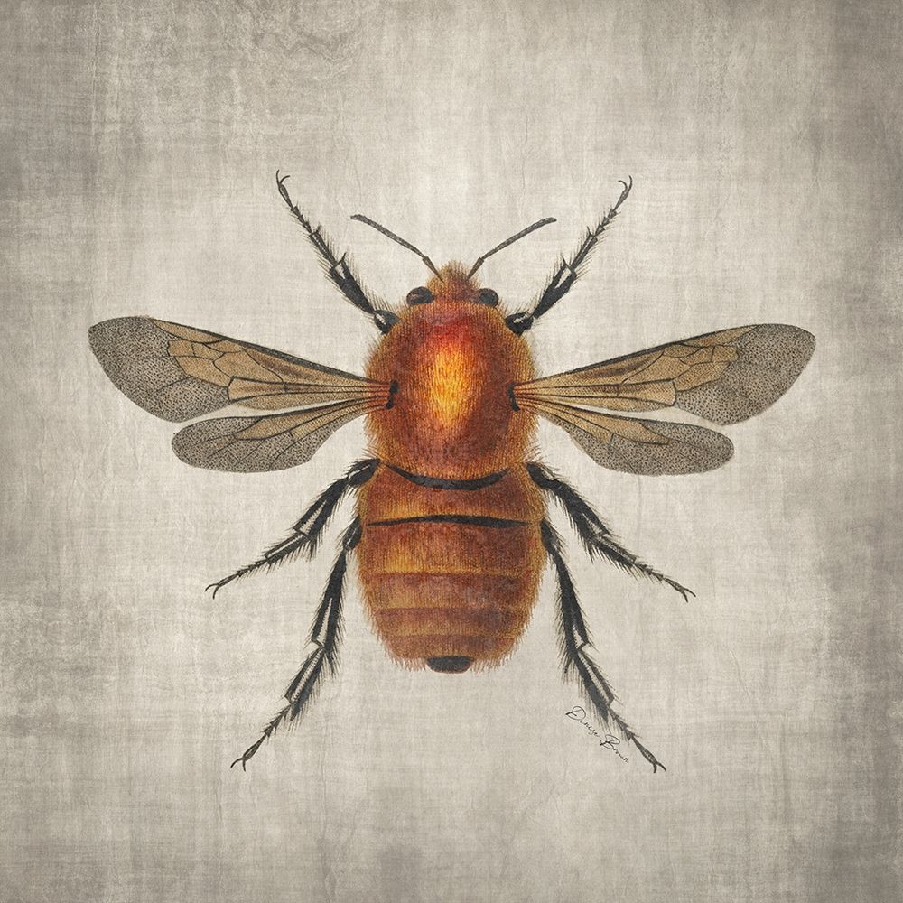 Brilliant Bee 1 art print by Denise Brown for $57.95 CAD