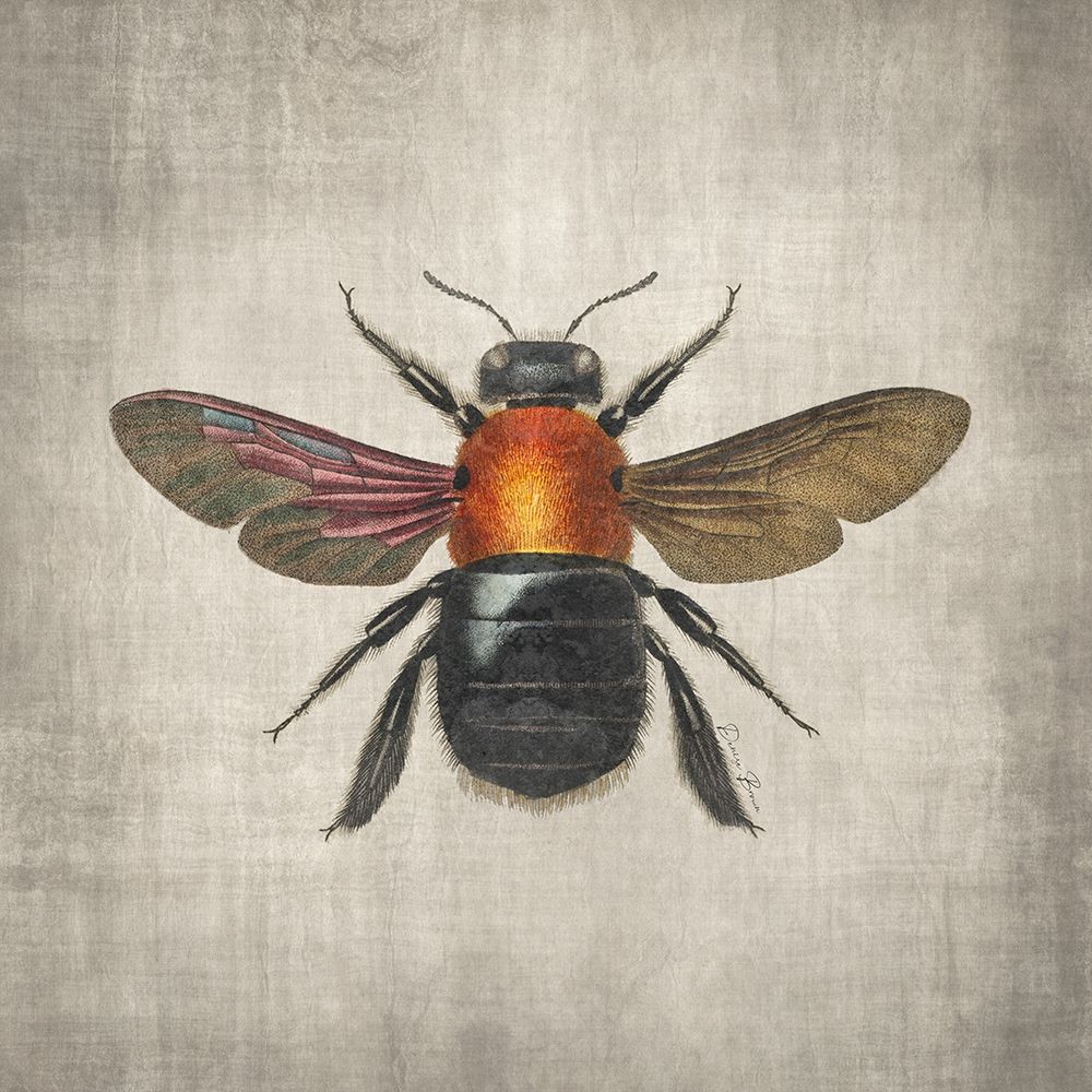 Brilliant Bee 2 art print by Denise Brown for $57.95 CAD