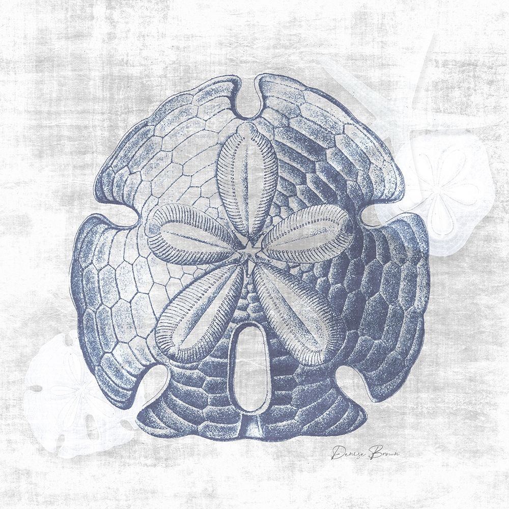 Sand Dollar 1 v2 art print by Denise Brown for $57.95 CAD