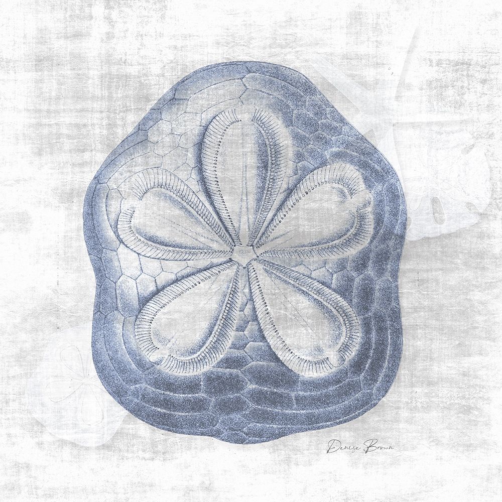 Sand Dollar 2 v2 art print by Denise Brown for $57.95 CAD