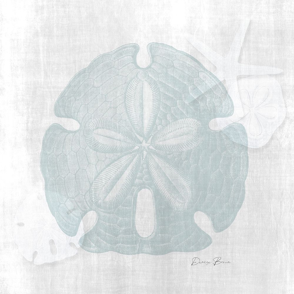 Sand Dollar 1 art print by Denise Brown for $57.95 CAD