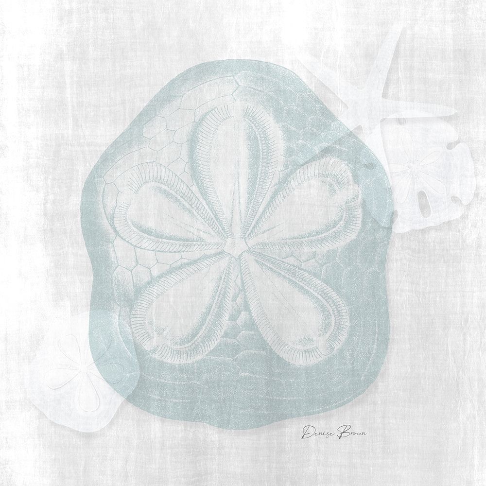 Sand Dollar 2 art print by Denise Brown for $57.95 CAD