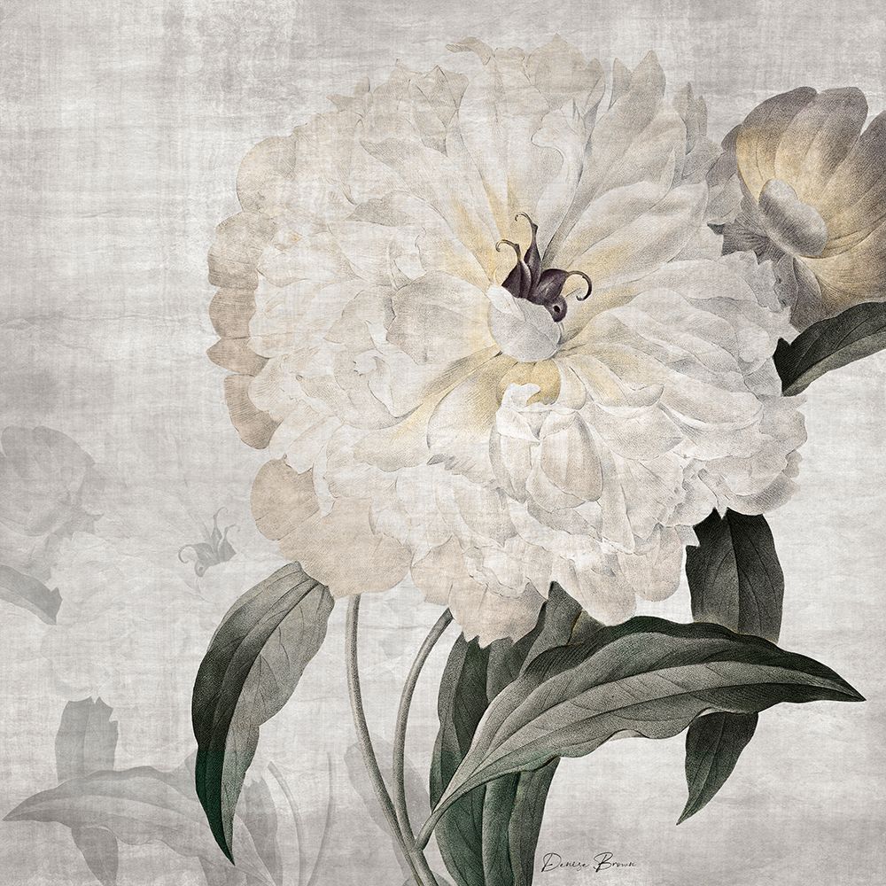 Traditional Peony art print by Denise Brown for $57.95 CAD