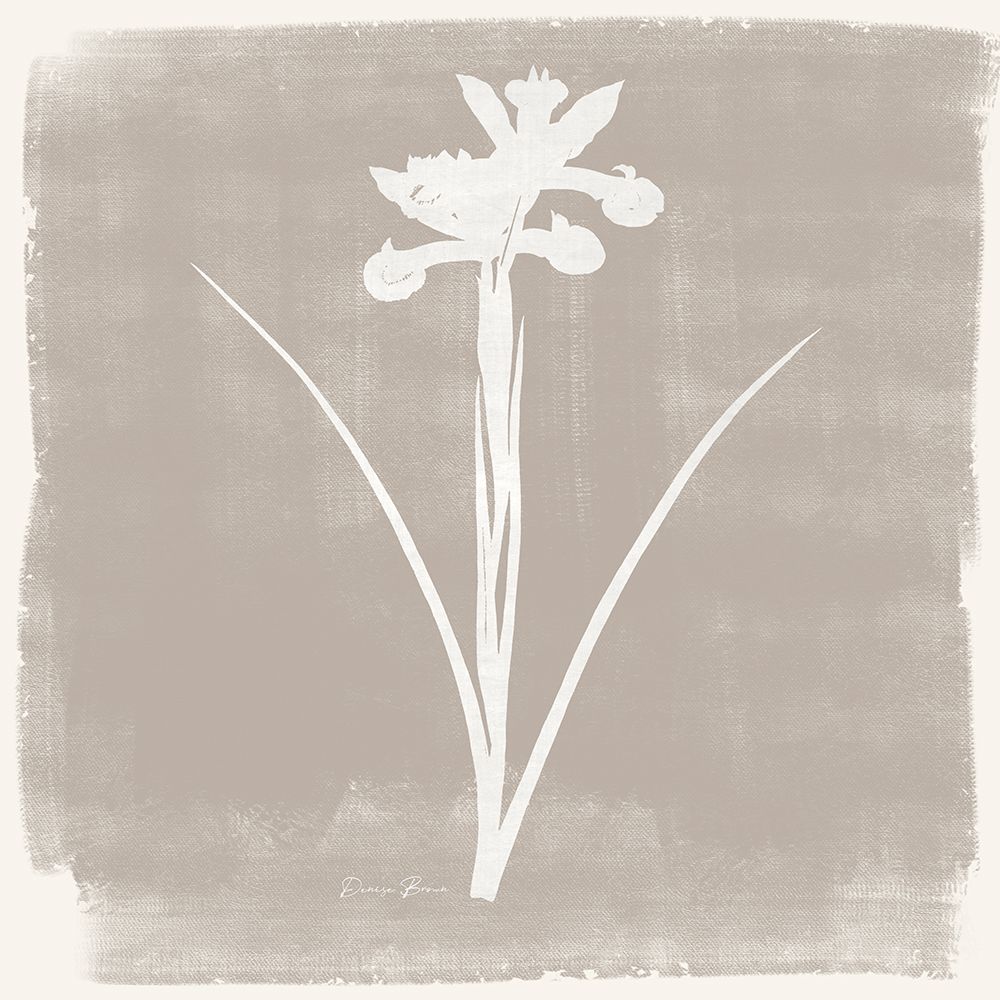 Sophisticated Floral 4 art print by Denise Brown for $57.95 CAD