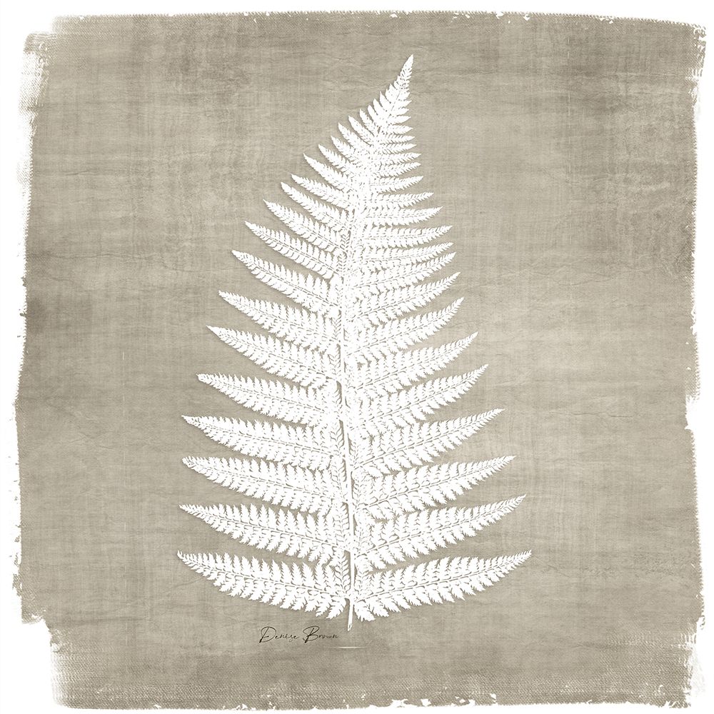 Natures Fern 1 art print by Denise Brown for $57.95 CAD