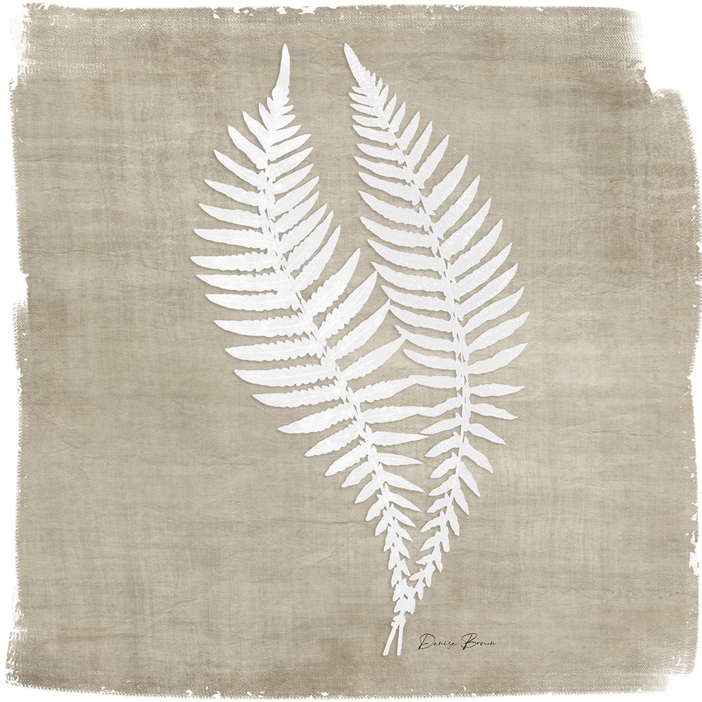 Natures Fern 2 art print by Denise Brown for $57.95 CAD