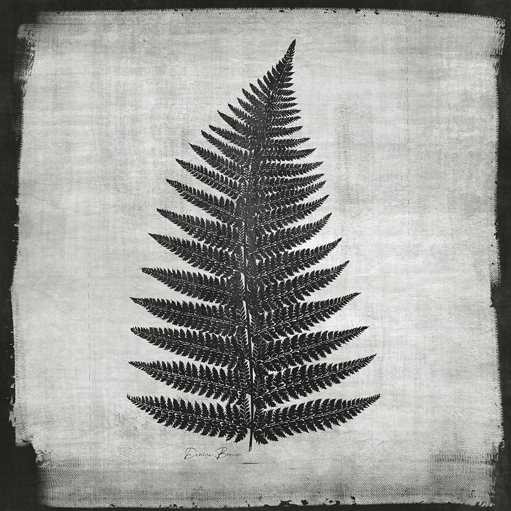 Noir Fern 1 art print by Denise Brown for $57.95 CAD